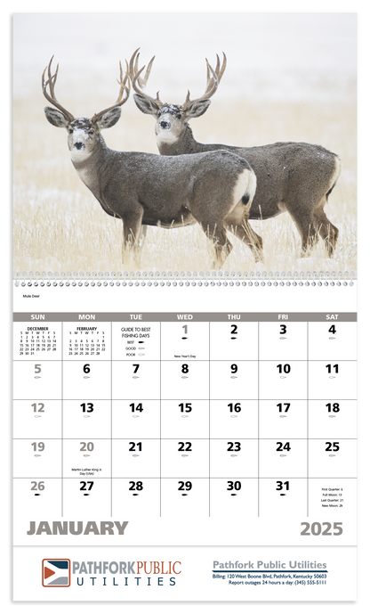 Good Value Wildlife Portraits  Spiral Calendar-7063