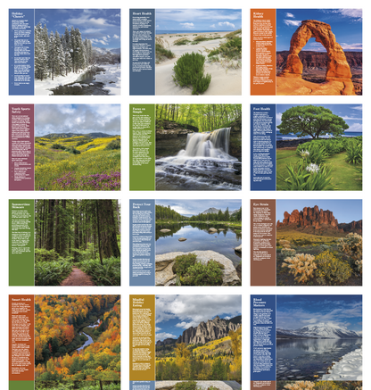 Good Value Healthy Living  Spiral Calendar-7073