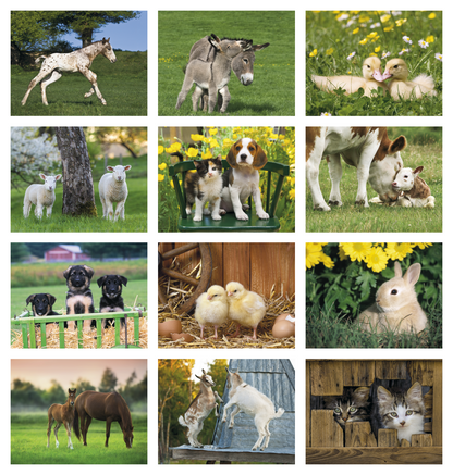 Good Value Baby Farm Animals  Stapled Calendar-7220