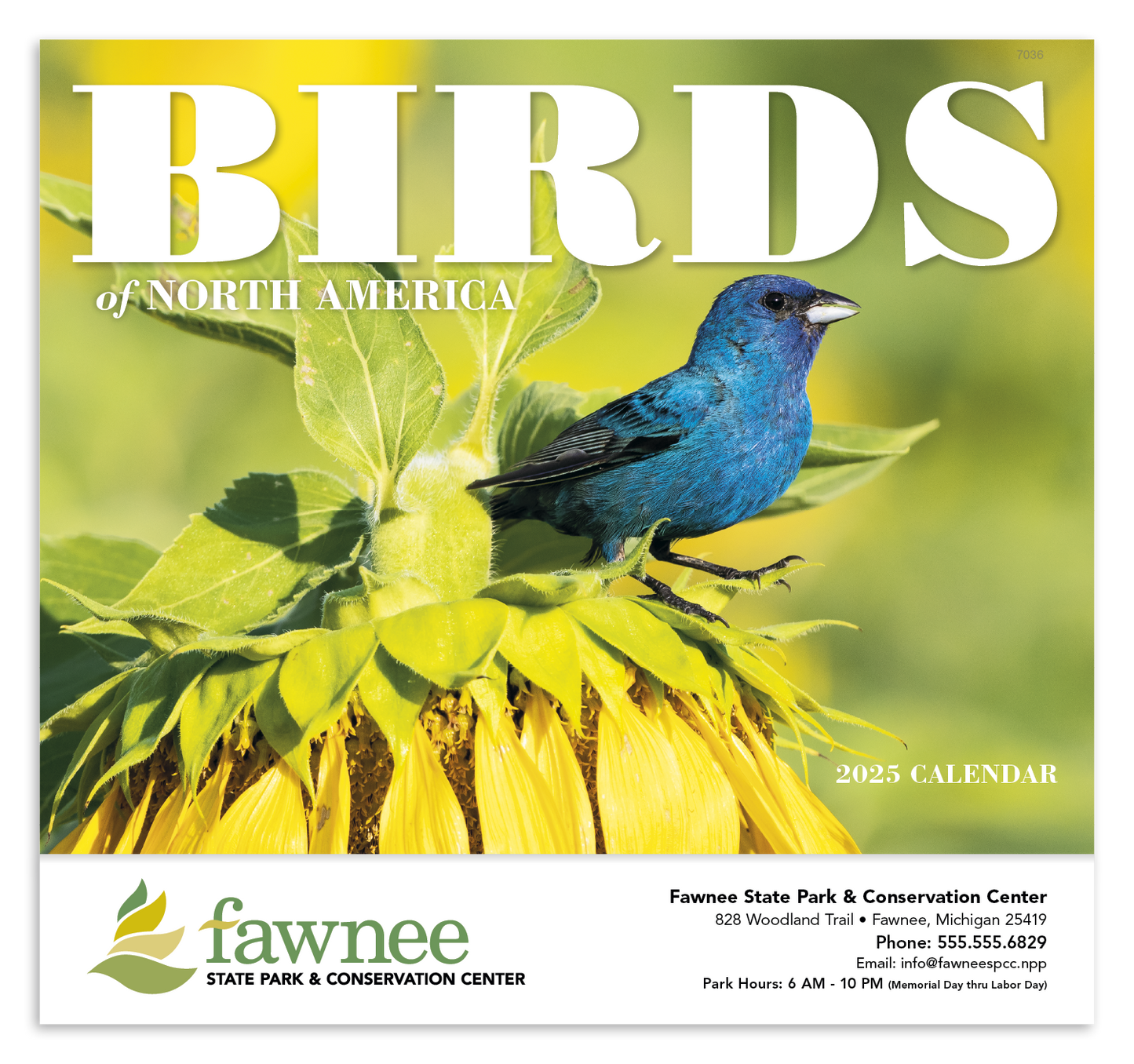Good Value Birds of North America  Stapled Calendar-7236