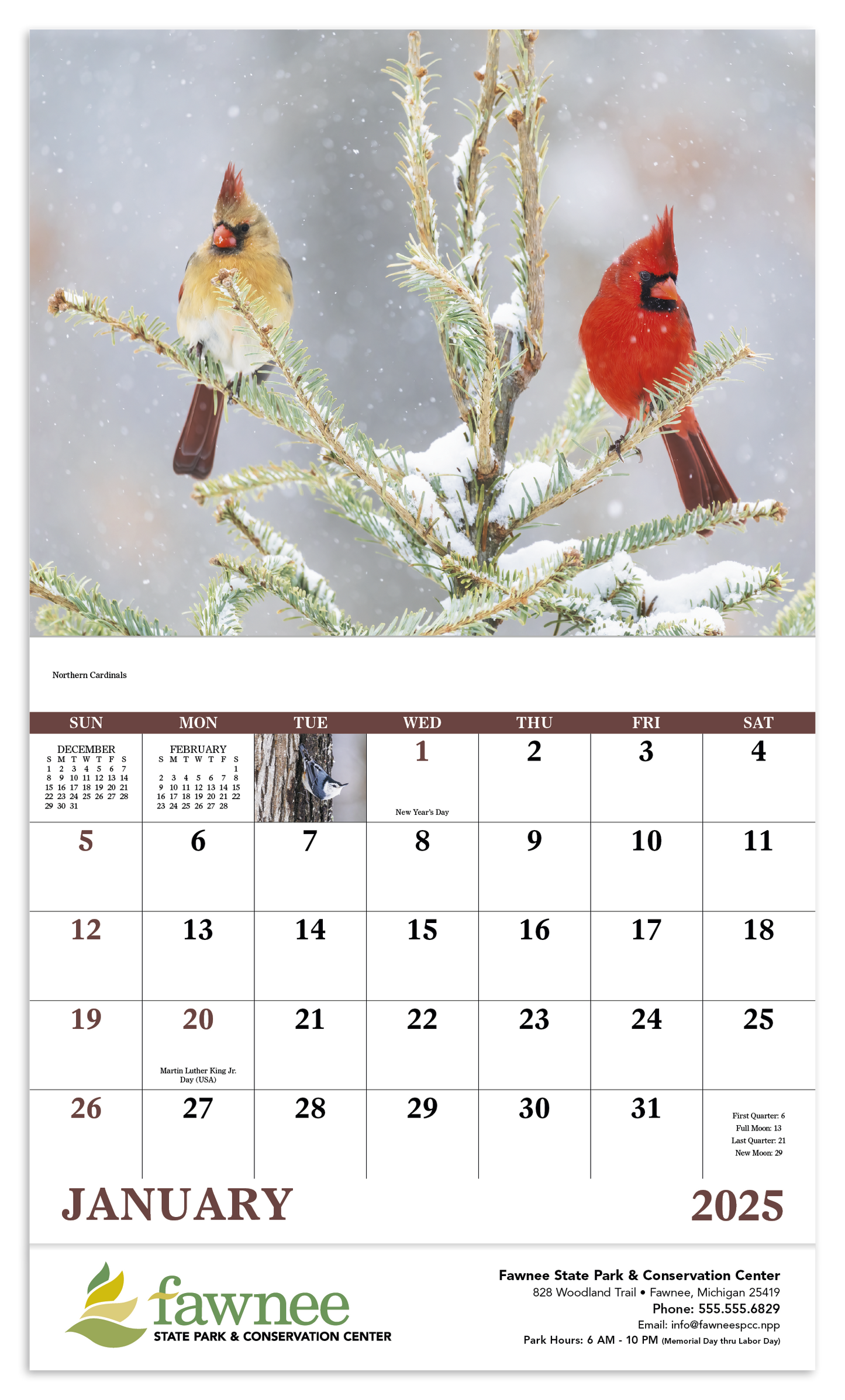 Good Value Birds of North America  Stapled Calendar-7236