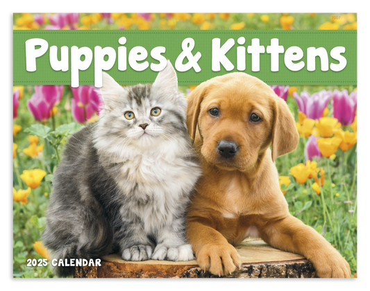Good Value Puppies  Kittens  Window Calendar-7507