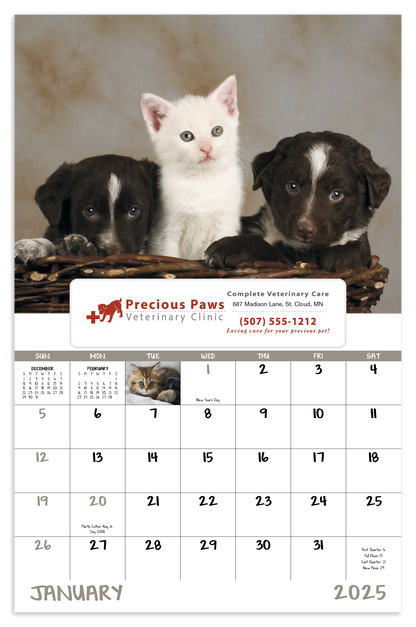 Good Value Puppies  Kittens  Window Calendar-7507