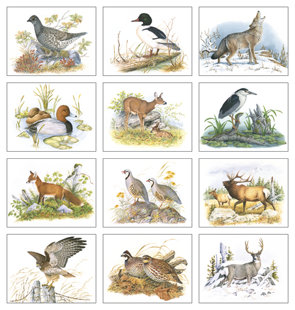 Good Value Wildlife Trek  Spiral Calendar-7003