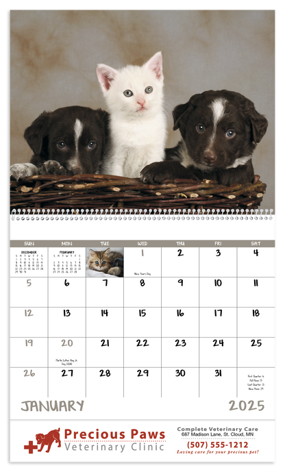 Good Value Puppies  Kittens  Spiral Calendar-7007
