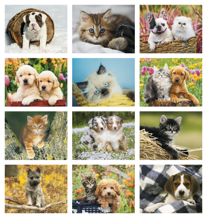 Good Value Puppies  Kittens  Spiral Calendar-7007