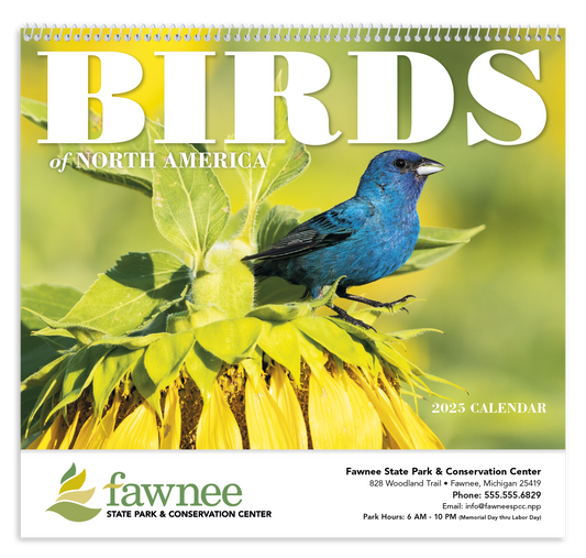 Good Value Birds of North America  Spiral Calendar-7036