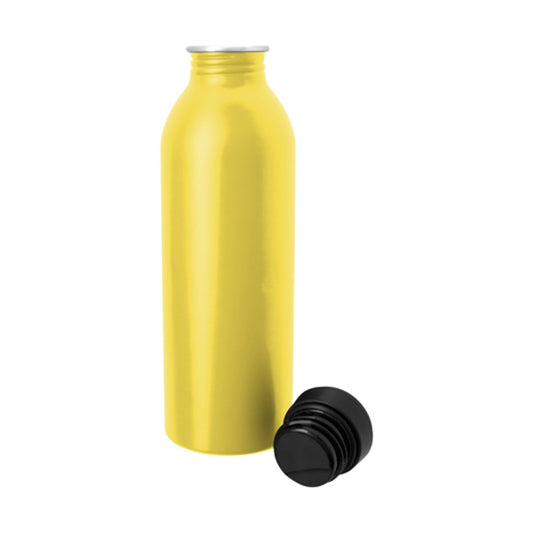 Good Value Vivid Aluminum Bottle  17oz-CDKW088