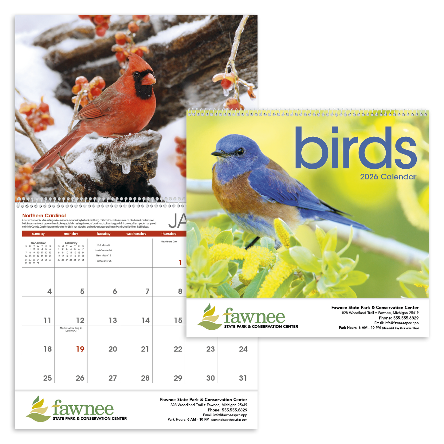 Triumph Calendars Birds Calendar-1053