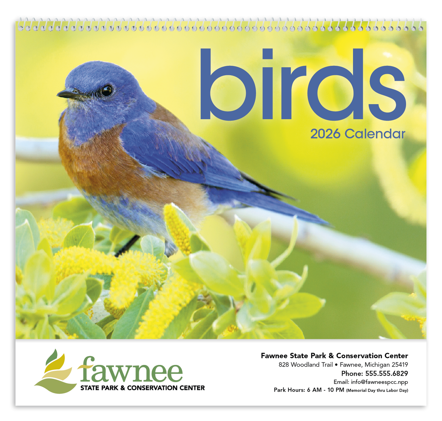 Triumph Calendars Birds Calendar-1053