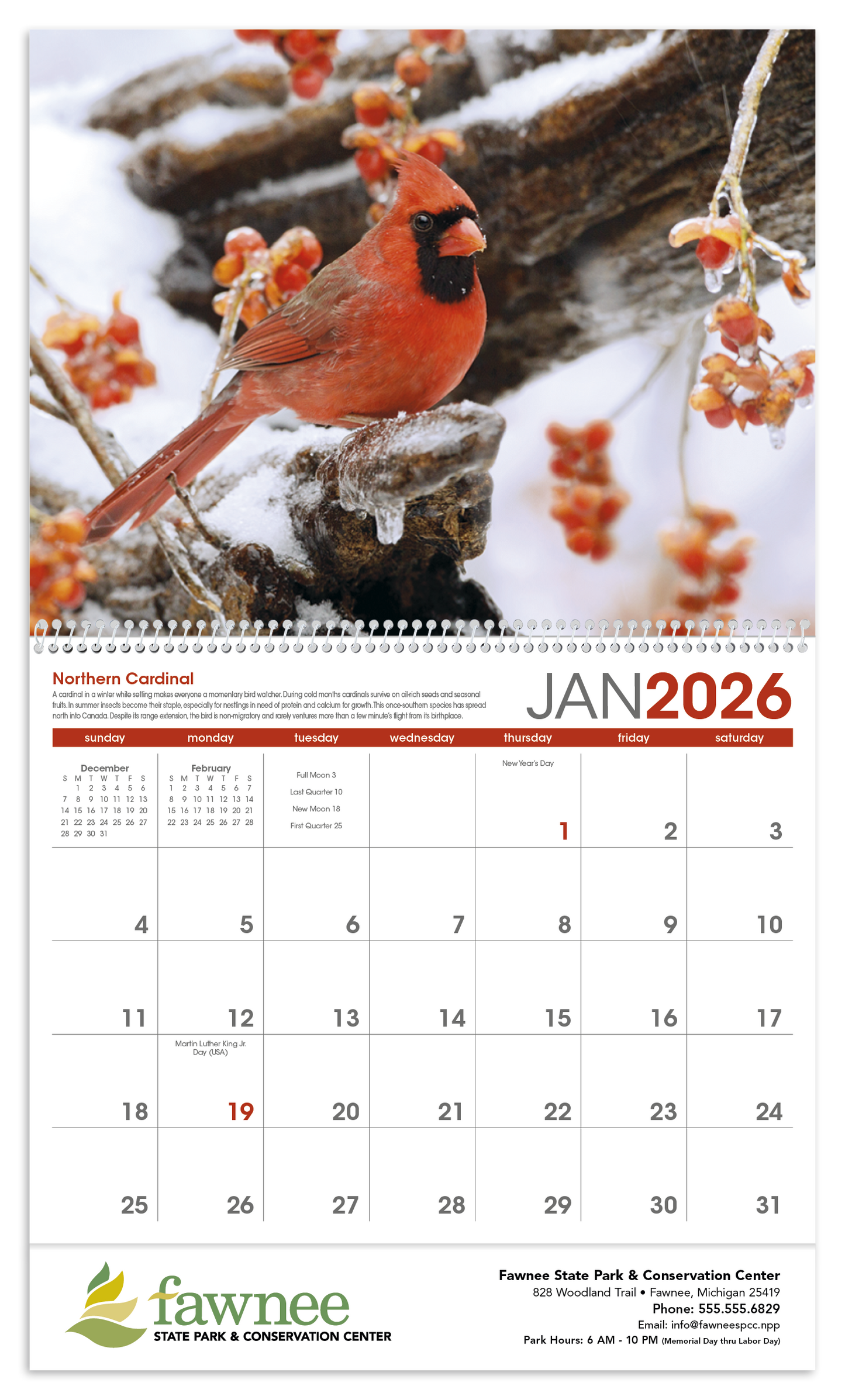 Triumph Calendars Birds Calendar-1053