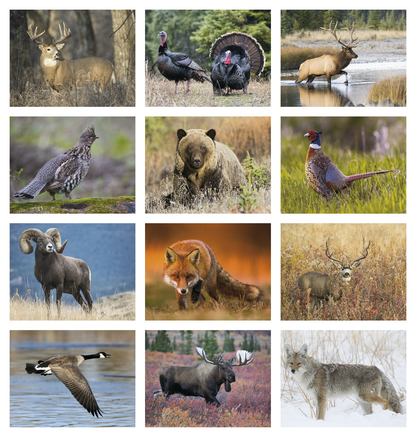 Triumph Calendars Great Lakes Sportsman Calendar-1803