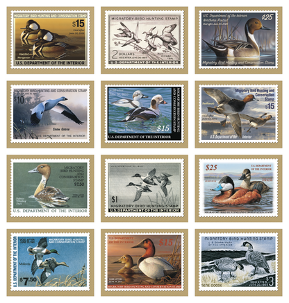 Triumph Calendars Duck Stamps Calendar-1809
