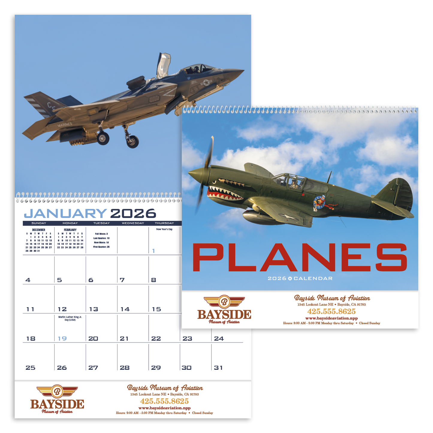 Triumph Calendars Planes Calendar-1852