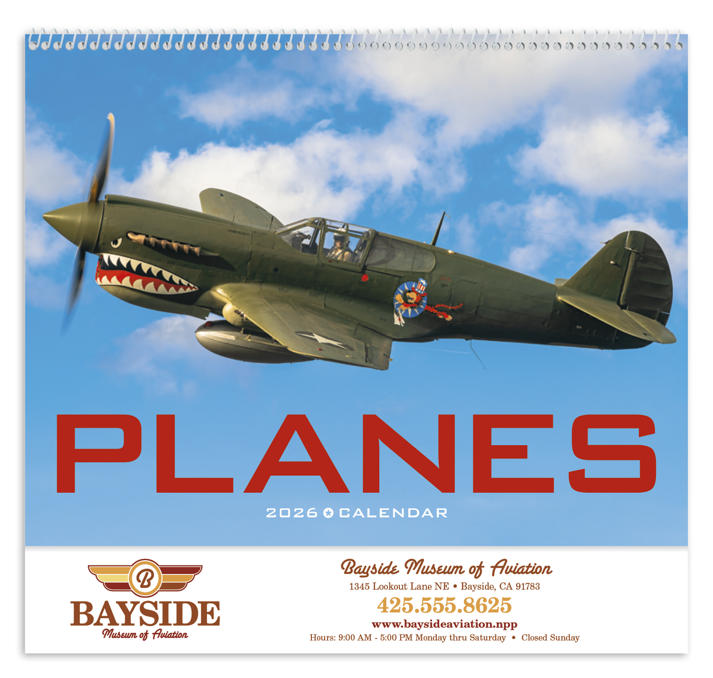 Triumph Calendars Planes Calendar-1852