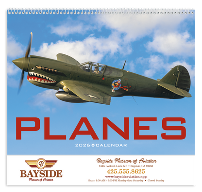 Triumph Calendars Planes Calendar-1852