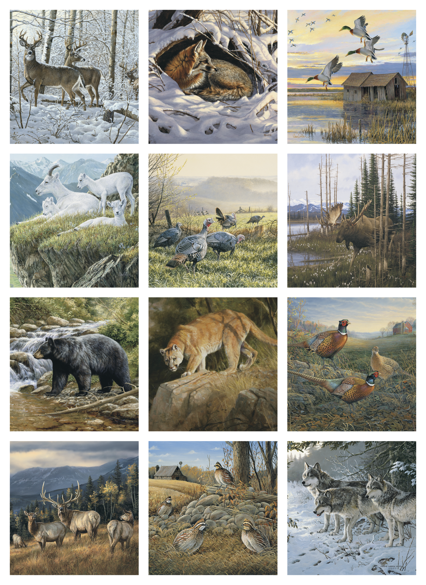 Triumph Calendars Wildlife Art Calendar-2104