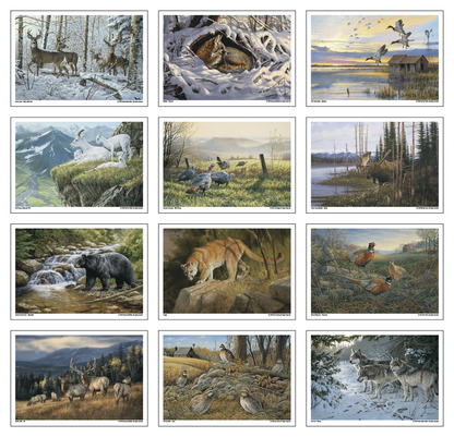 Triumph Calendars Wildlife Art Calendar-2301