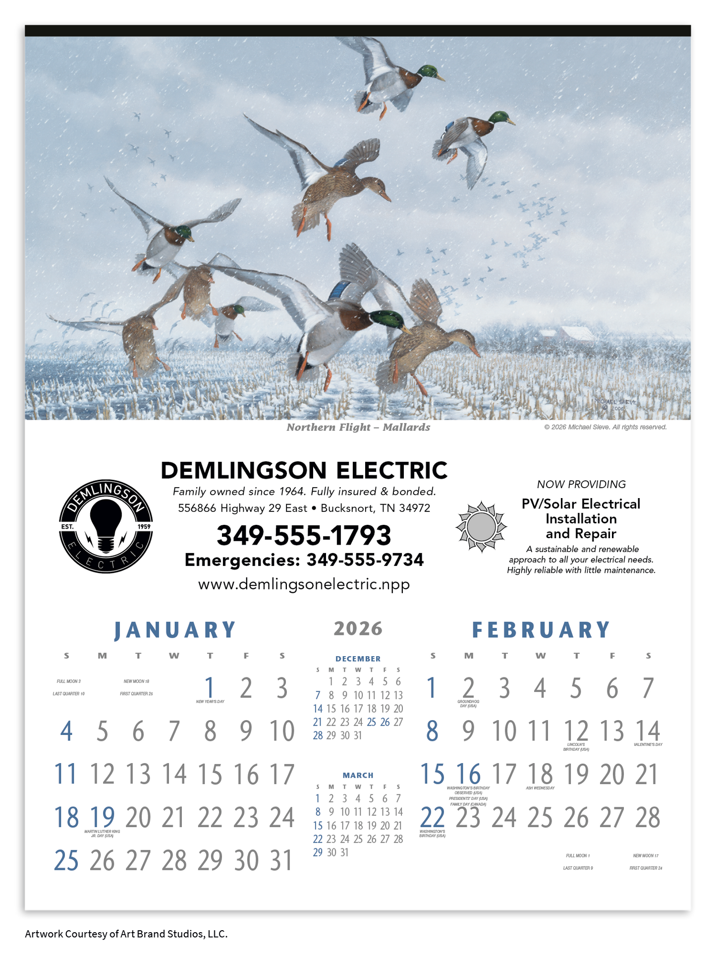 Triumph Calendars North American Waterfowl Calendar-3203