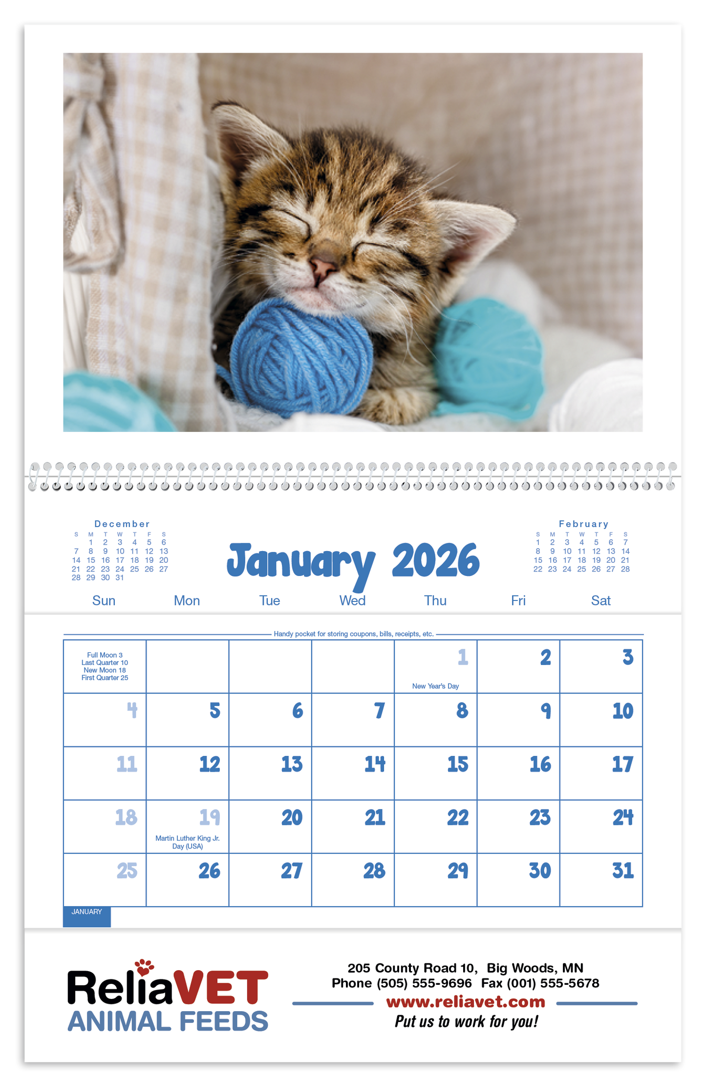 Triumph Calendars Puppies  Kittens Pocket Calendar-4155
