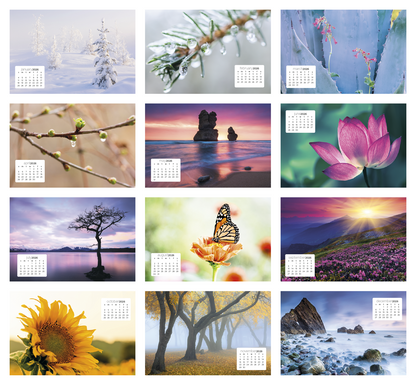 Triumph Calendars Simplicity Large Desk Calendar-4277