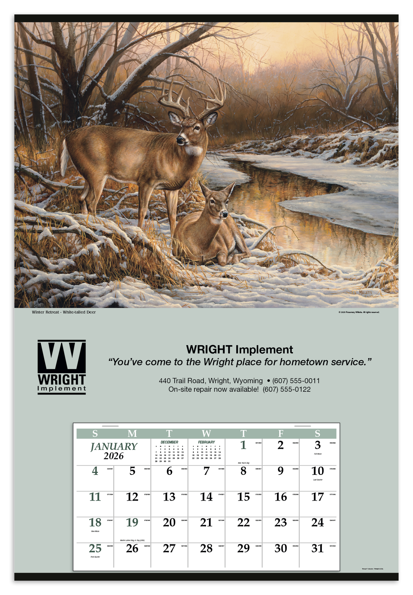 Triumph Calendars Jumbo Hanger 12Month Calendar-6405