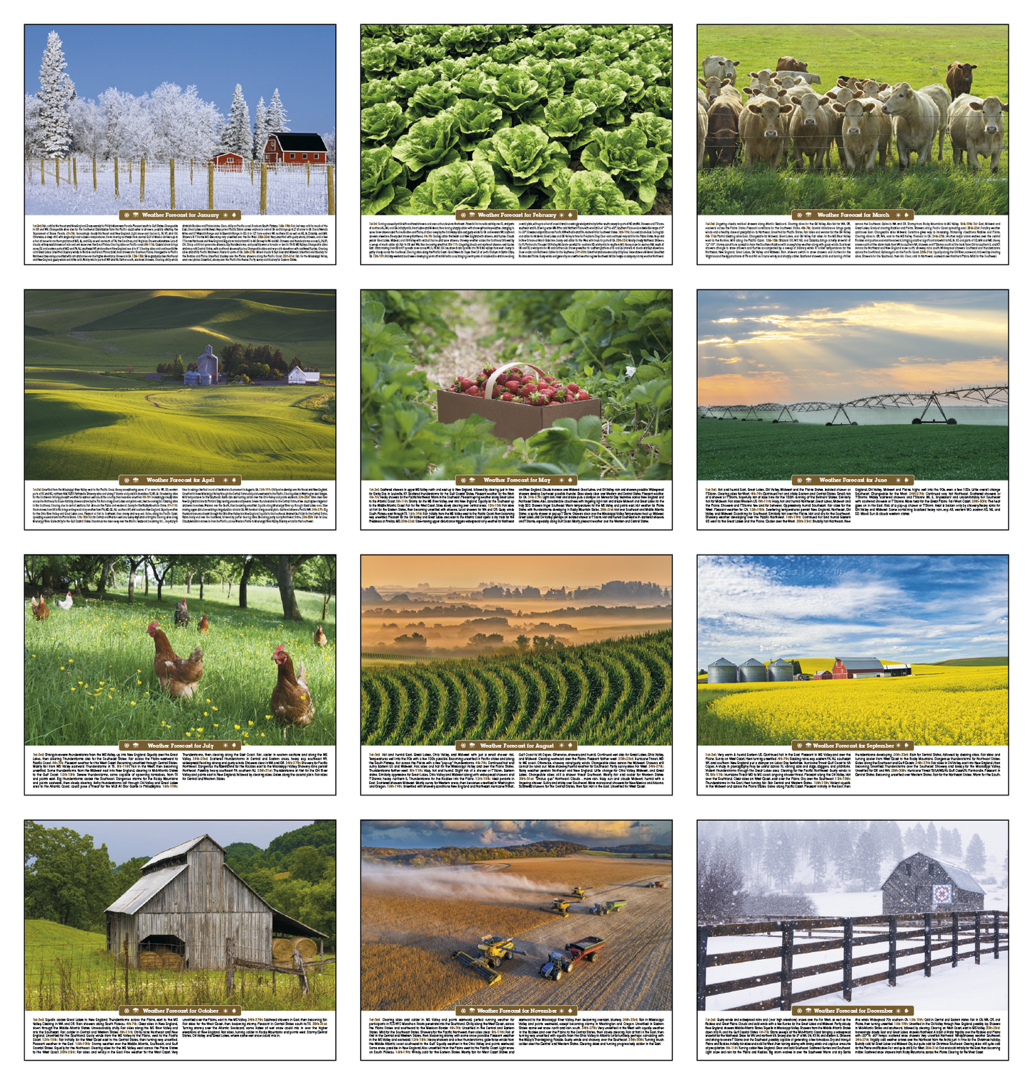 Triumph Calendars Scenic Almanac-6702