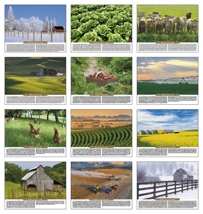 Triumph Calendars Scenic Almanac-6702