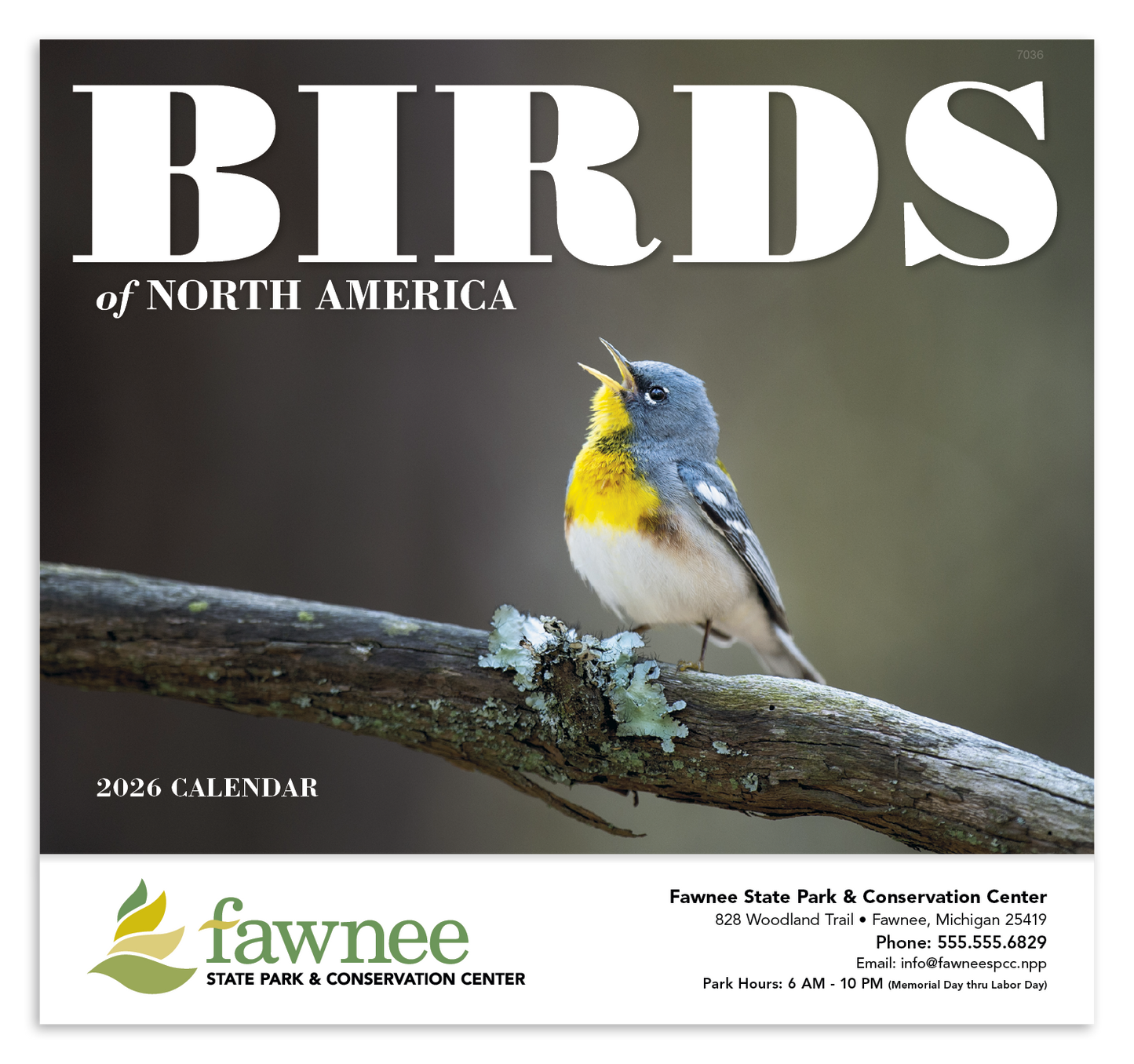Good Value Birds of North America  Stapled Calendar-7236