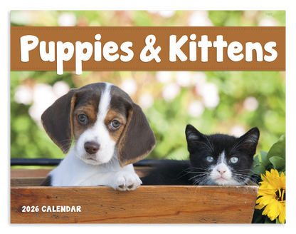 Good Value Puppies  Kittens  Window Calendar-7507