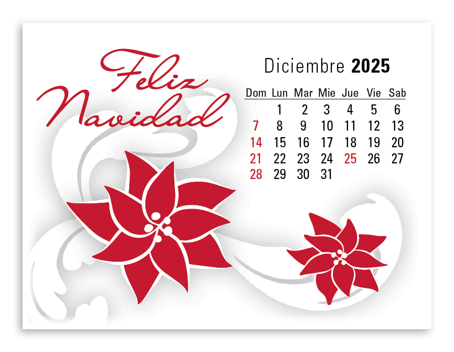 Triumph Calendars PressNStick Spanish Calendar-V8876