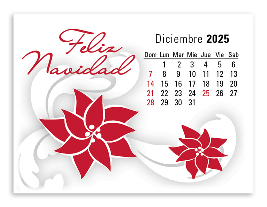 Triumph Calendars PressNStick Spanish Calendar-V8876