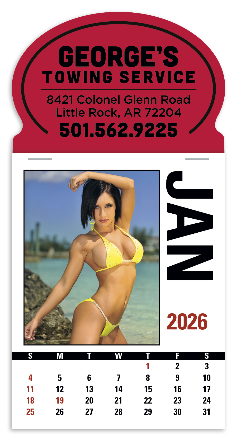 Triumph Calendars PressNStick Sunshine Girls Calendar-V8890