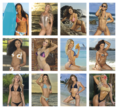 Triumph Calendars PressNStick Sunshine Girls Calendar-V8890