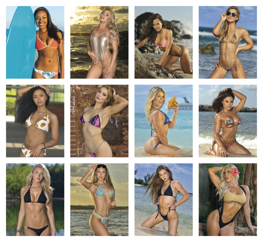 Triumph Calendars PressNStick Sunshine Girls Calendar-V8890