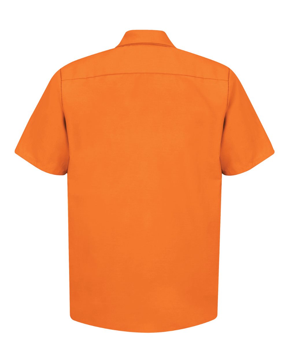 Image for 68120_b_fl.jpg