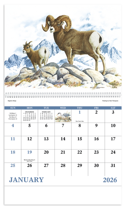 Good Value Wildlife Trek  Spiral Calendar-7003