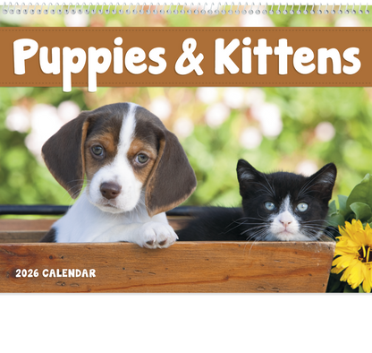 Good Value Puppies  Kittens  Spiral Calendar-7007