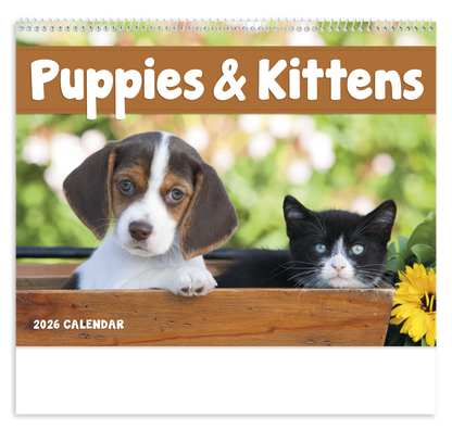 Good Value Puppies  Kittens  Spiral Calendar-7007