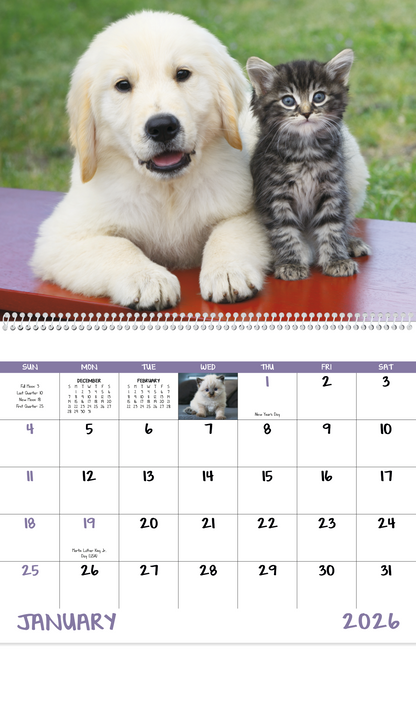 Good Value Puppies  Kittens  Spiral Calendar-7007