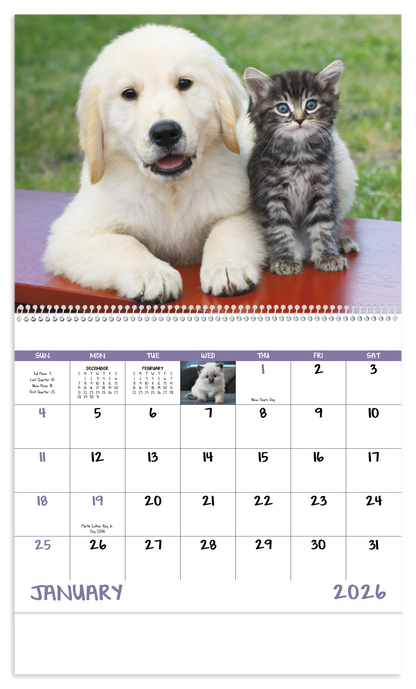 Good Value Puppies  Kittens  Spiral Calendar-7007