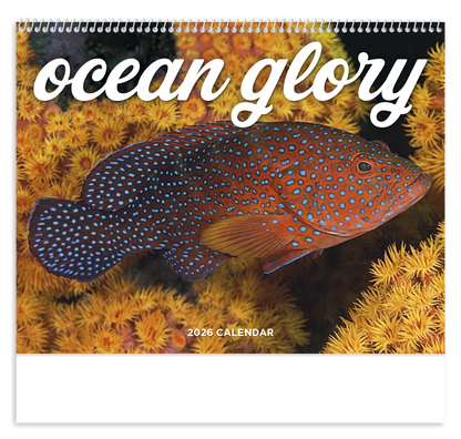 Good Value Ocean Glory  Spiral Calendar-7017
