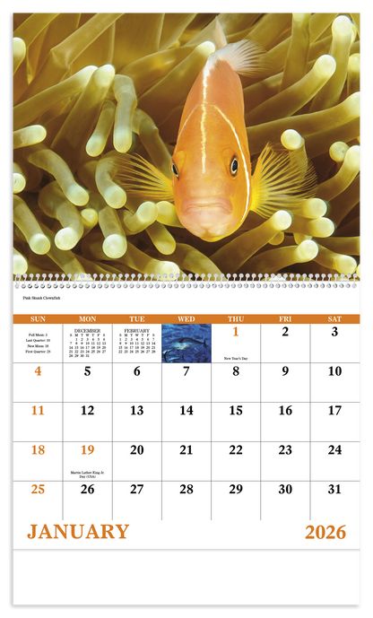 Good Value Ocean Glory  Spiral Calendar-7017