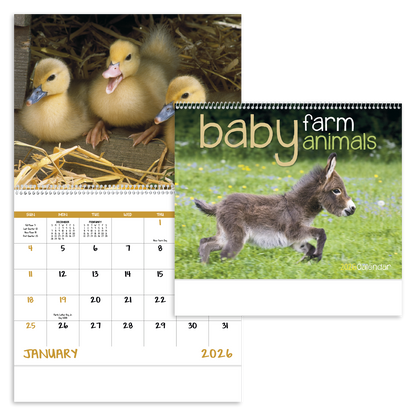 Good Value Baby Farm Animals  Spiral Calendar-7020