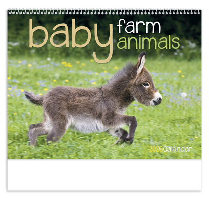 Good Value Baby Farm Animals  Spiral Calendar-7020