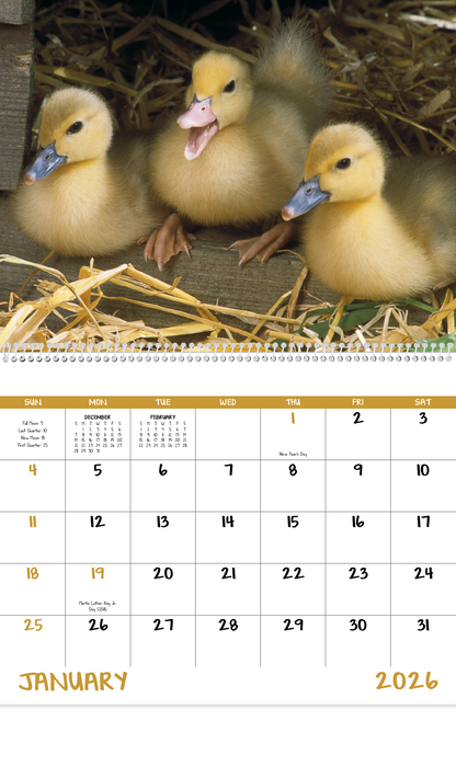 Good Value Baby Farm Animals  Spiral Calendar-7020
