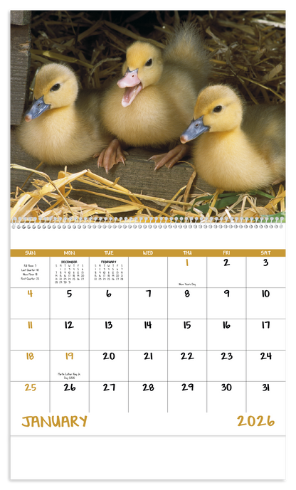 Good Value Baby Farm Animals  Spiral Calendar-7020