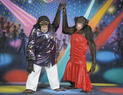 Good Value Monkey Mischief  Spiral Calendar-7033