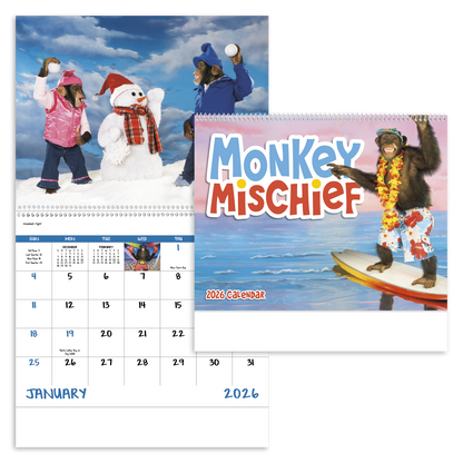 Good Value Monkey Mischief  Spiral Calendar-7033