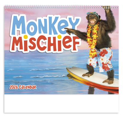 Good Value Monkey Mischief  Spiral Calendar-7033